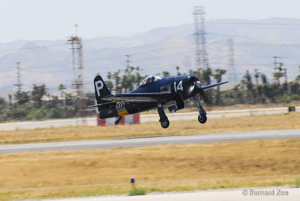 DSZ_6176